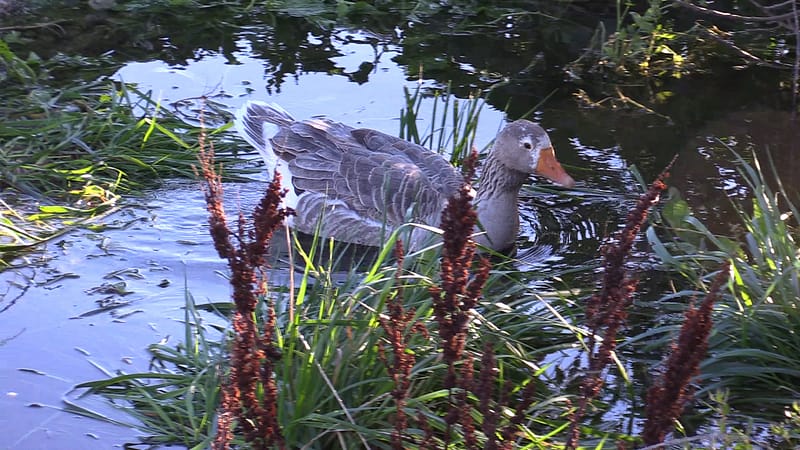 Day_19_Kaikoura2Christchurch (4 of 31)