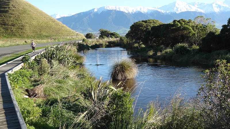 Day_19_Kaikoura2Christchurch (5 of 31)
