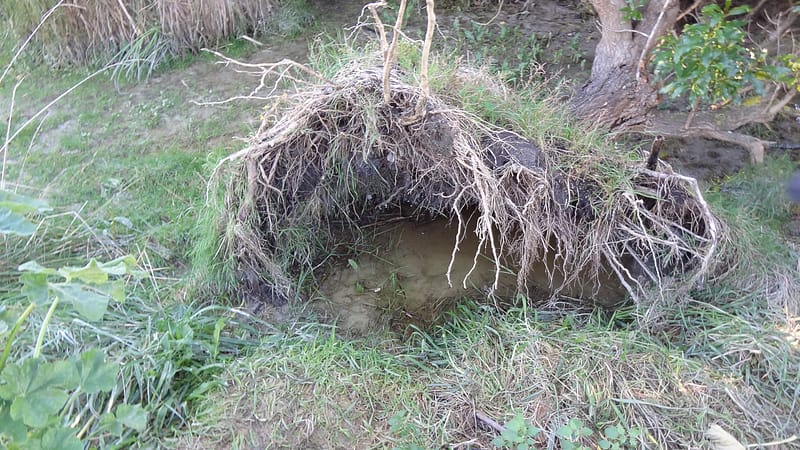 Day_19_Kaikoura2Christchurch (6 of 31)