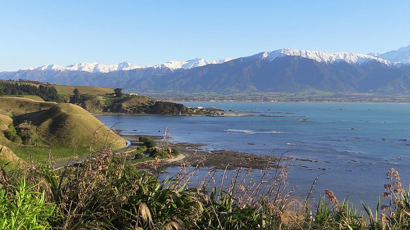 Day_19_Kaikoura2Christchurch (8 of 31)