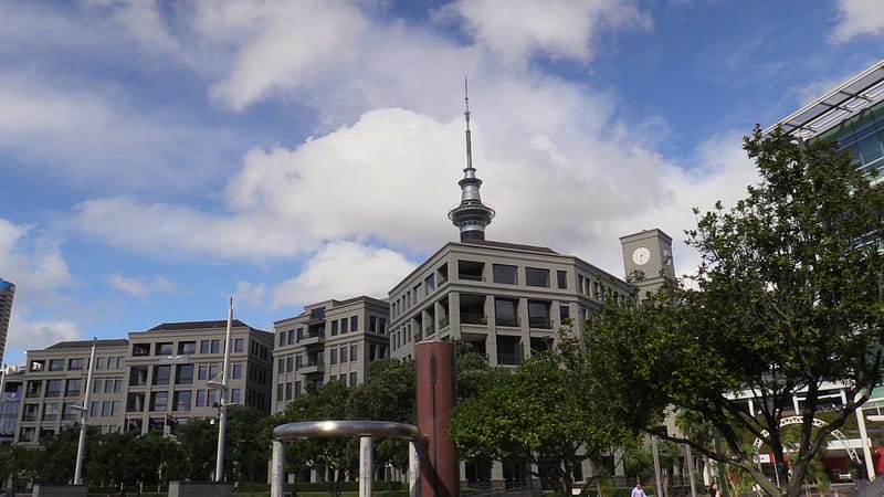 Day_6_Auckland (14 of 21)