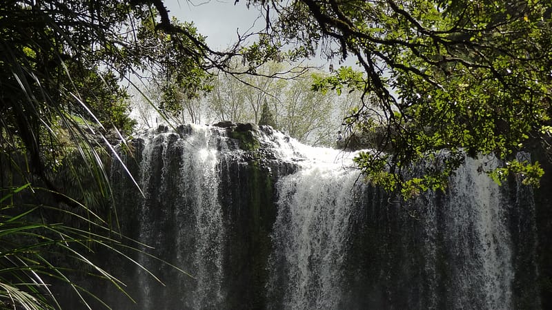 Day_7_Northland (2 of 17)