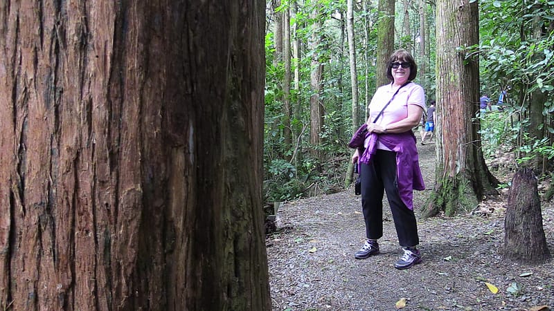 Day_7_Northland (3 of 17)