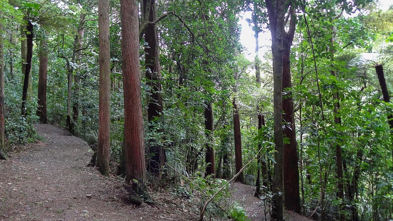 Day_7_Northland (4 of 17)