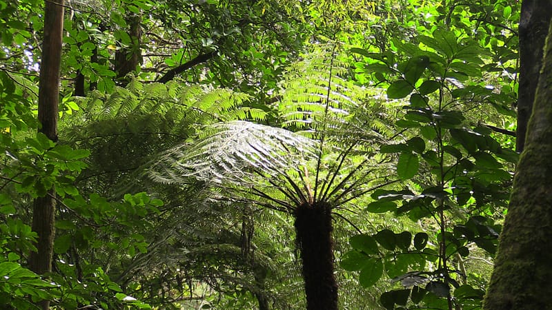 Day_7_Northland (5 of 17)