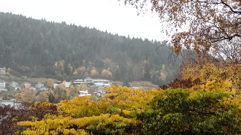 Day26_Queenstown2Christchurch (1 of 12)