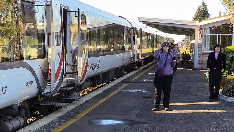 Day_20_Christchurch2Punakaiki (1 of 23)