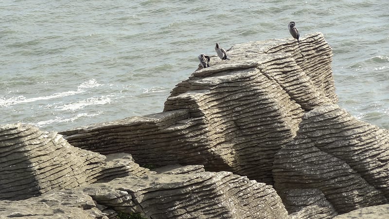 Day_20_Christchurch2Punakaiki (13 of 23)