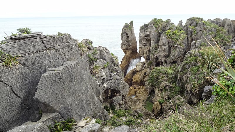 Day_20_Christchurch2Punakaiki (21 of 23)