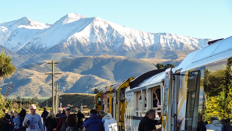 Day_20_Christchurch2Punakaiki (4 of 23)