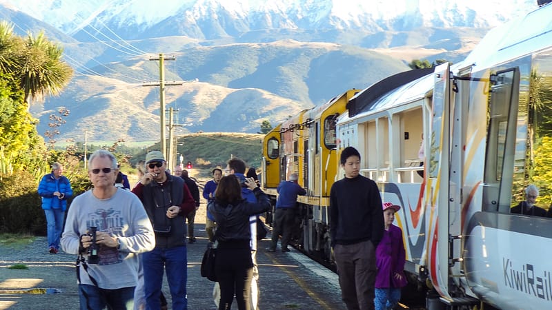 Day_20_Christchurch2Punakaiki (5 of 23)