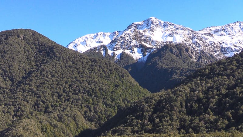 Day_20_Christchurch2Punakaiki (7 of 23)