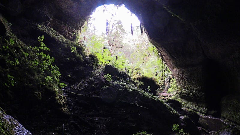 Day_20_Punakaiki II (12 of 16)