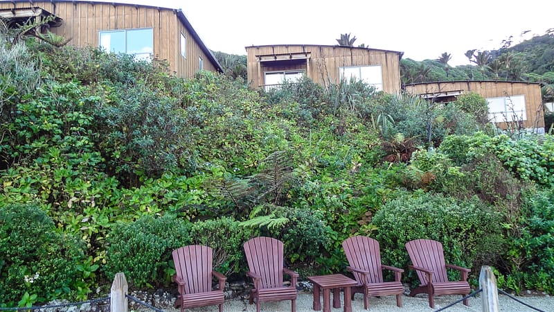 Day_20_Punakaiki II (14 of 16)