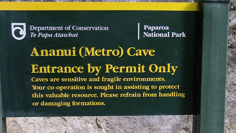 Day_20_Punakaiki II (7 of 16)