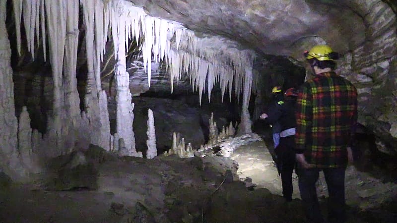 Day_20_Punakaiki II (8 of 16)