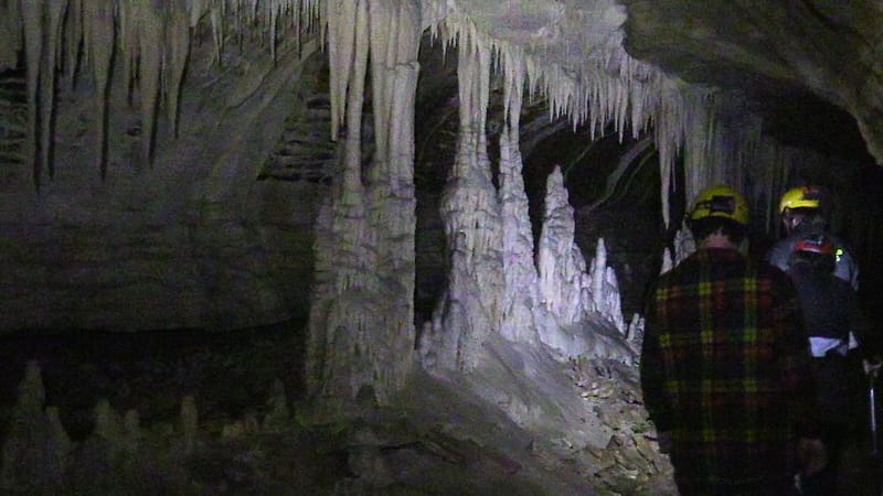 Day_20_Punakaiki II (9 of 16)