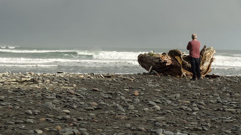 Day_22_Punakaiki2Fox (1 of 21)