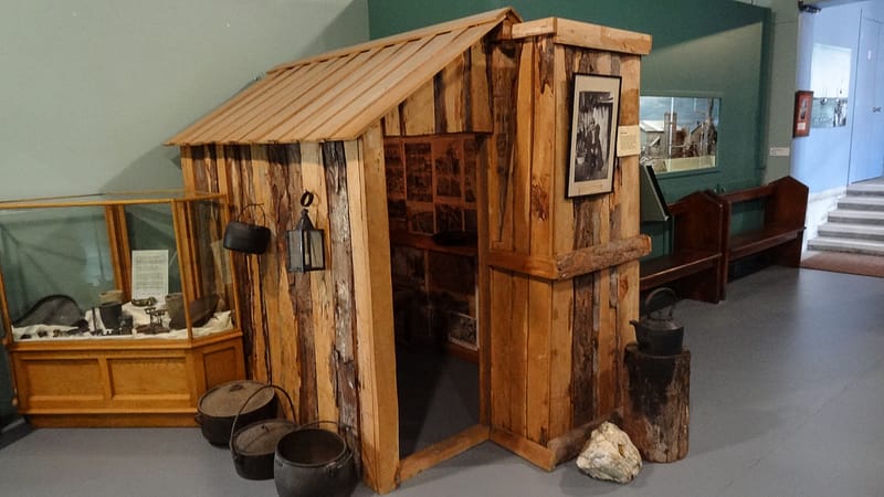 Day_22_Punakaiki2Fox (11 of 21)