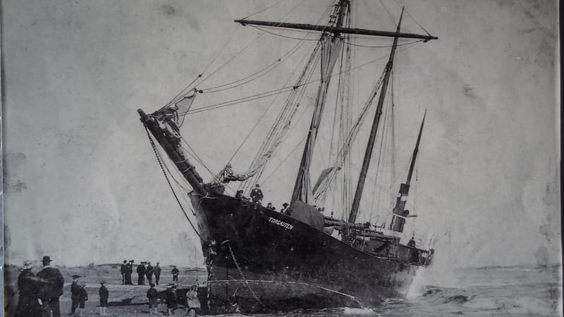 Day_22_Punakaiki2Fox (12 of 21)