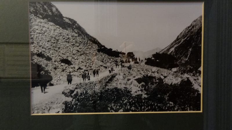 Day_22_Punakaiki2Fox (14 of 21)