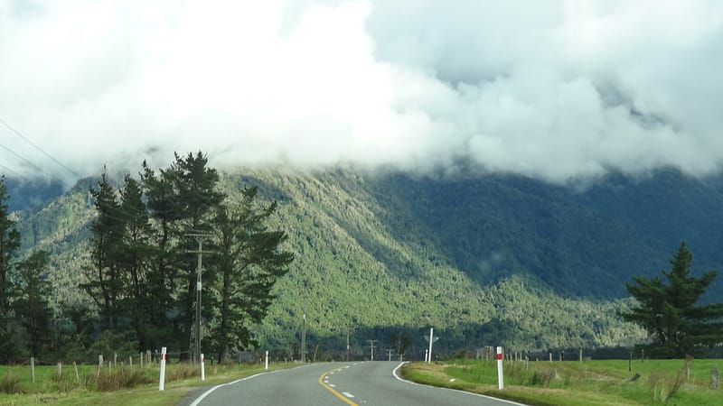 Day_22_Punakaiki2Fox (19 of 21)