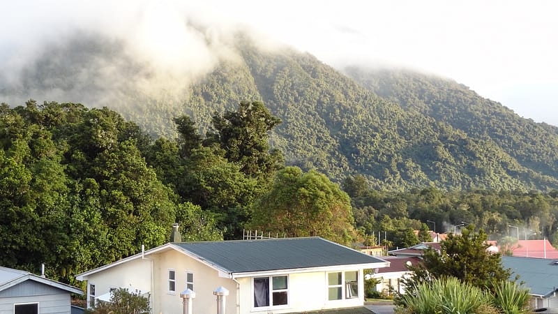 Day_22_Punakaiki2Fox (20 of 21)