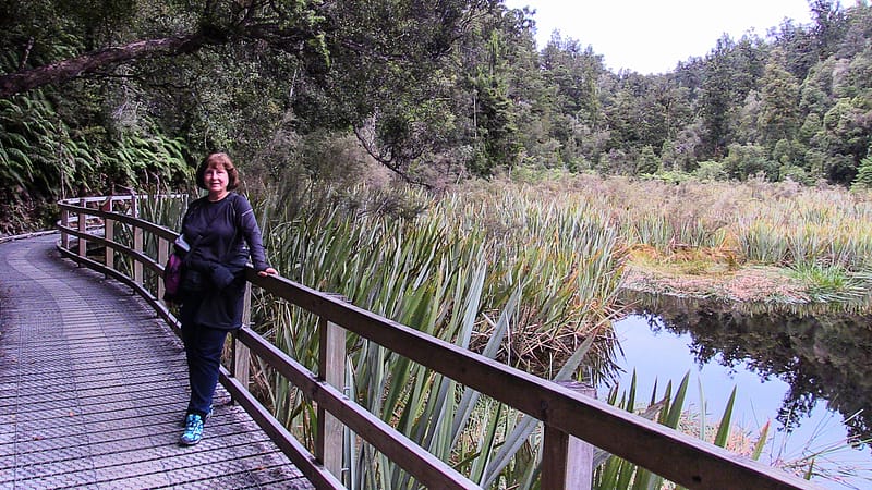 Day_23_FoxGlacier (15 of 21)