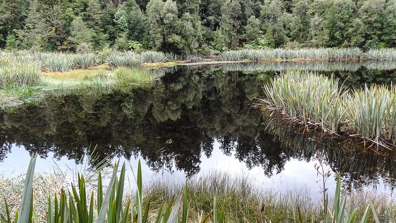 Day_23_FoxGlacier (16 of 21)