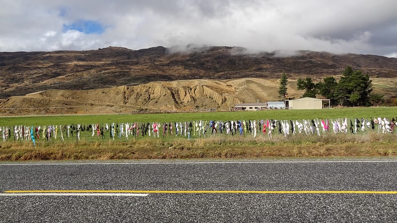 Day_24_FoxGlacier2Queenstown (2 of 19)