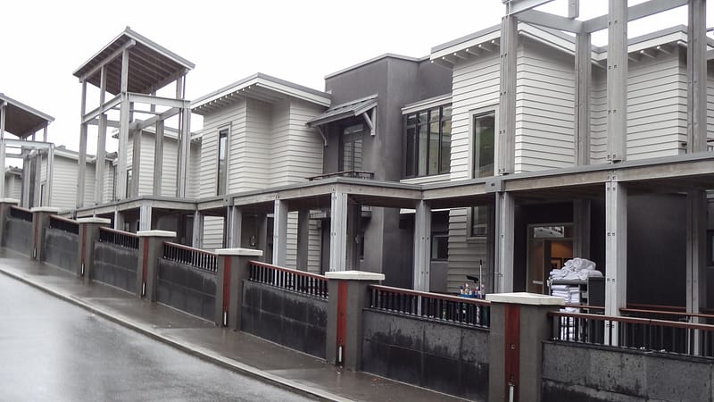 Day_24_FoxGlacier2Queenstown (7 of 19)