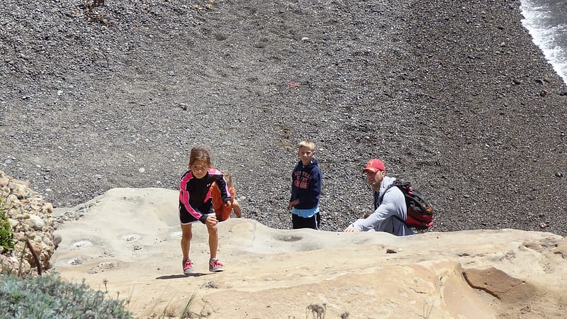 Best of Big Sur (10 of 27)