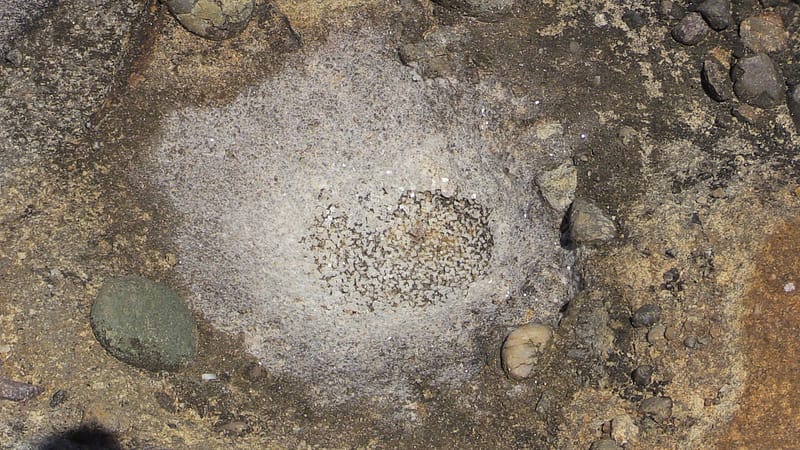 Best of Big Sur (13 of 27)