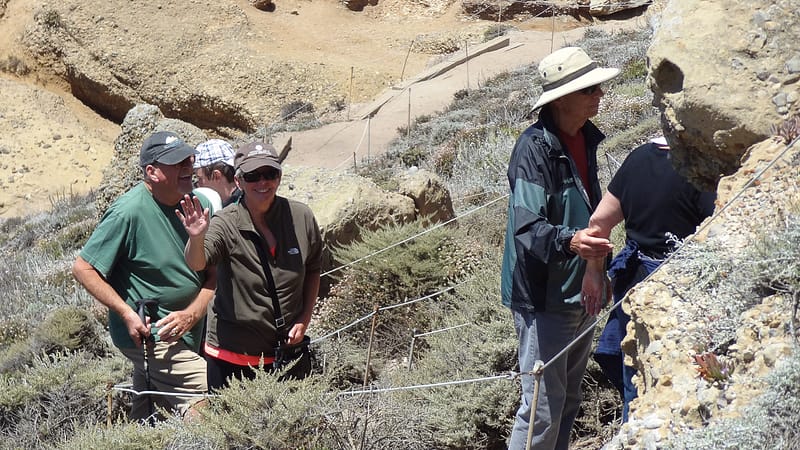 Best of Big Sur (14 of 27)