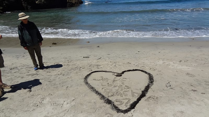 Best of Big Sur (6 of 27)