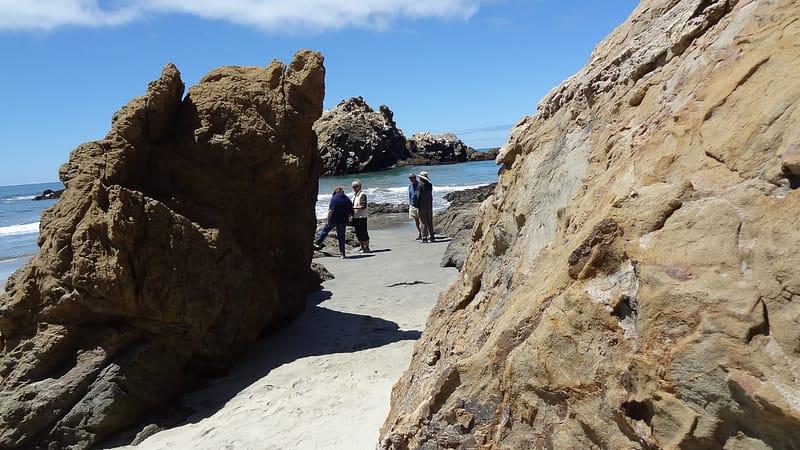 Best of Big Sur (7 of 27)