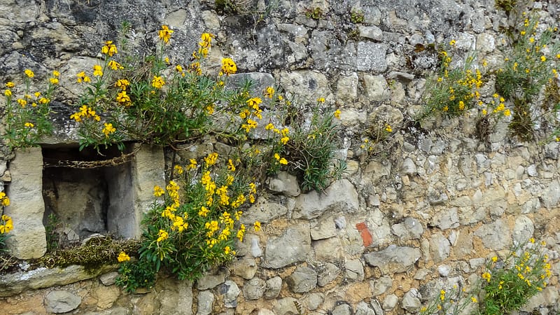 Bayeux-Normandy (3 of 39)