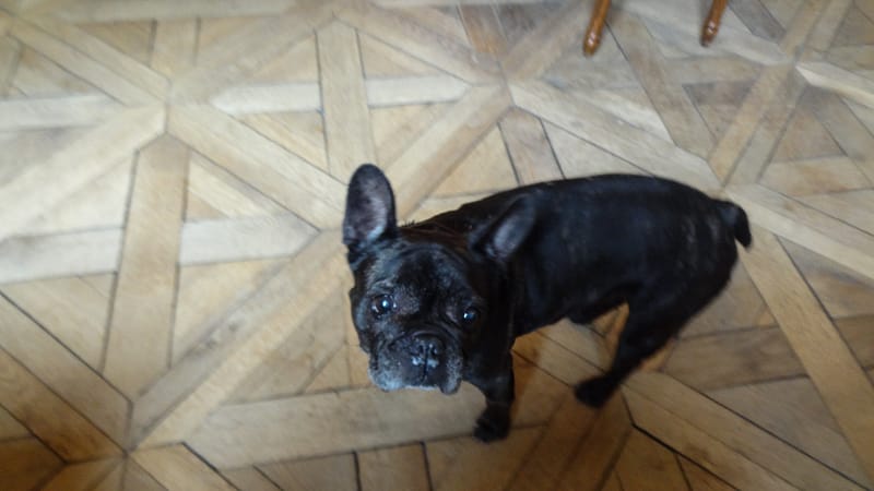 Bayeux-Normandy (5 of 39)