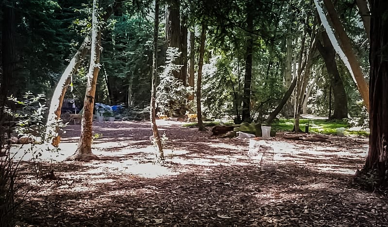 2016-06-09 21.30.52-4