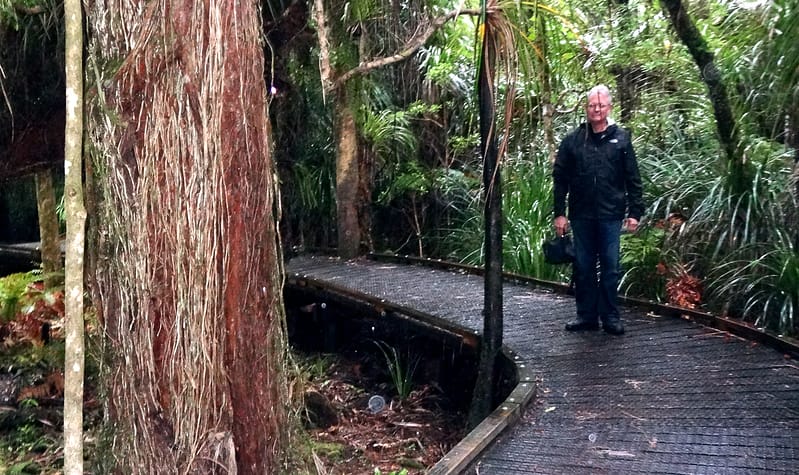 Day_9_KauriCoast (5 of 7)