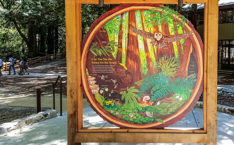 2016-06-06 14.54.03-Edit