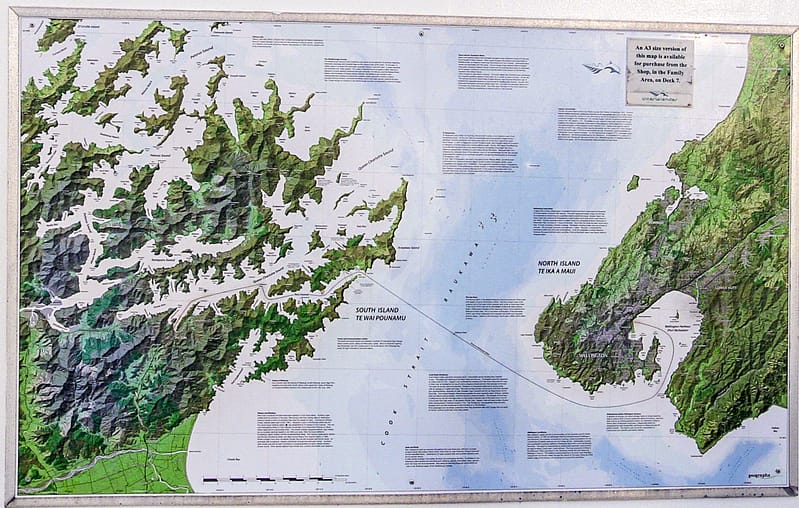 Day_14_Wellington-Picton (4 of 18)