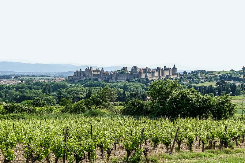 Carcassonne (7 of 33)