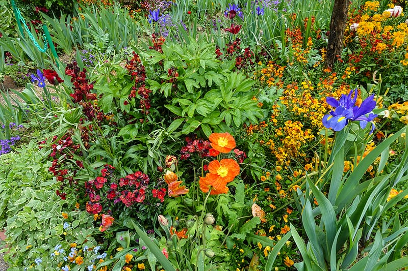 Giverny-Rouen (11 of 32)