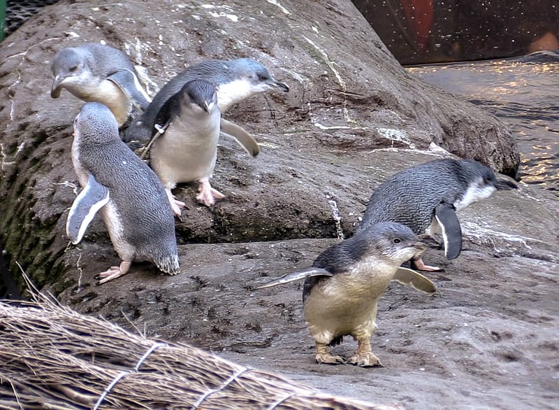 Day_19_Kaikoura2Christchurch (28 of 31)