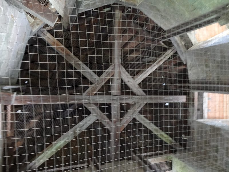 Carcassonne (19 of 33)