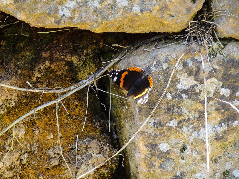Sarlat-Domme-Commarque (19 of 32)