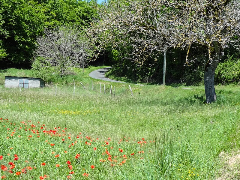 Sarlat-Domme-Commarque (28 of 32)