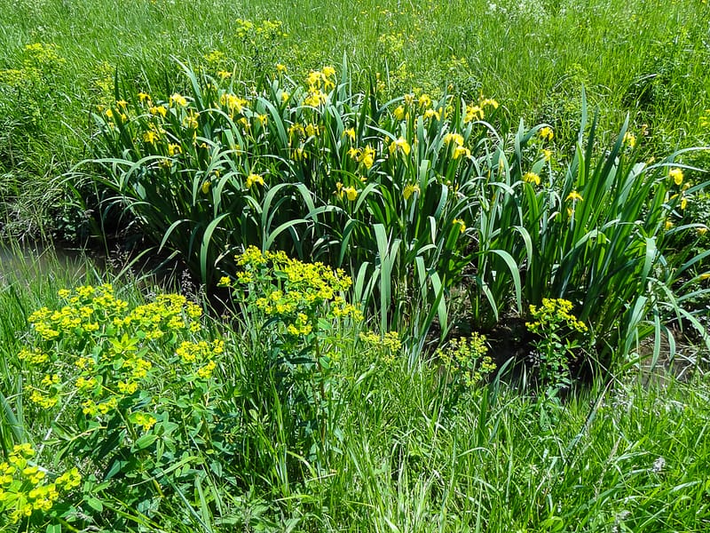 Sarlat-Domme-Commarque (31 of 32)