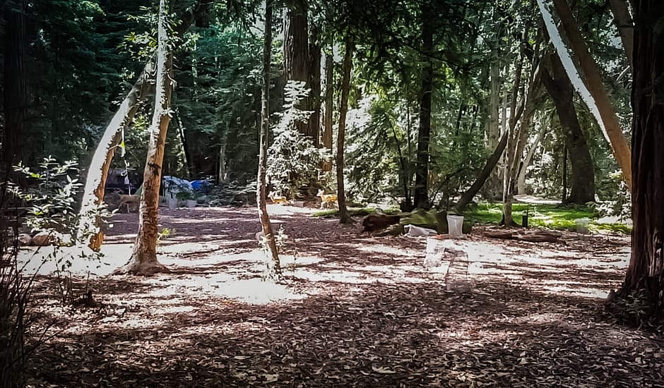 2016-06-09 21.30.52-4